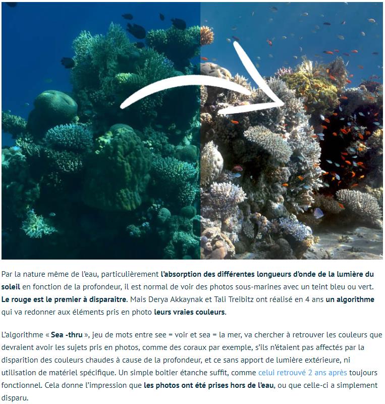 tomsguide.fr cet-algorithme-retire-leau-des-photos-sous-marines.jpg