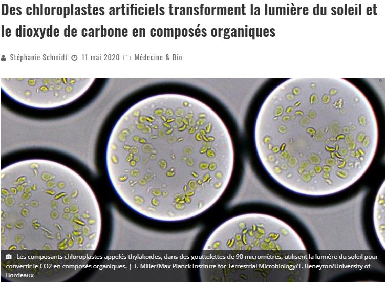 trustmyscience.com chloroplastes-artificiels-transforment-lumiere-soleil-dioxyde-carbone-composes-organiques.jpg