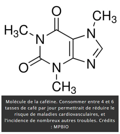 trustmyscience.com combien-de-tasses-de-cafe-pour-proteger-coeur.png