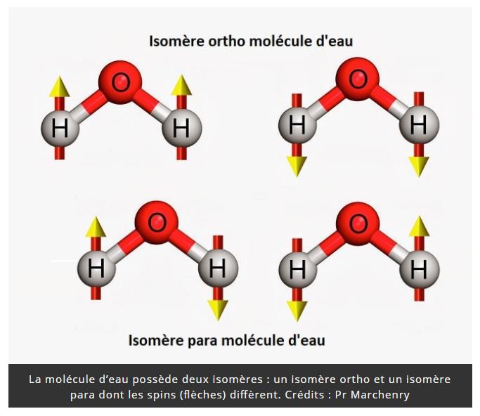 trustmyscience.com eau-presente-sous-deux-formes-molecules-agissant-differemment.jpg