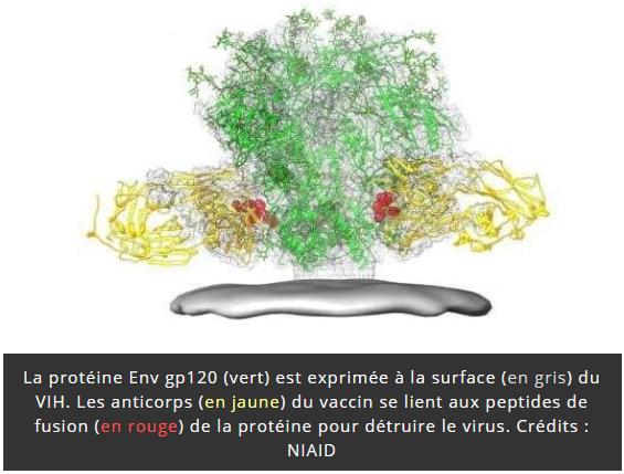 trustmyscience.com essais-cliniques-humain-vaccin-vih-2019.jpg