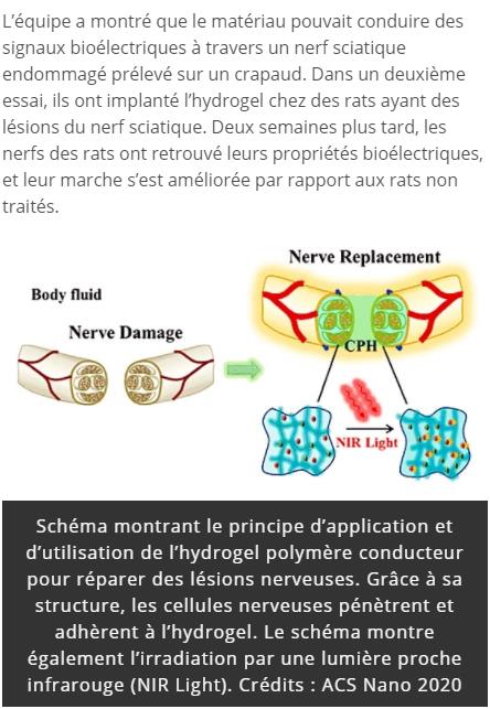 trustmyscience.com hydrogel-conducteur-pour-guerir-lesions-nerveuses.jpg