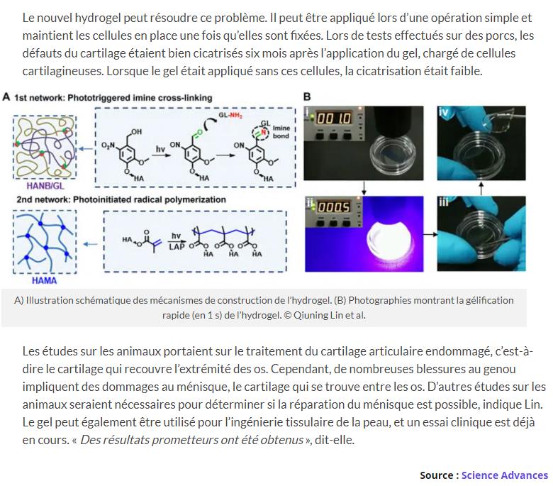 trustmyscience.com hydrogel-injectable-pour-regenerer-cartilage-endommage-articulations.jpg