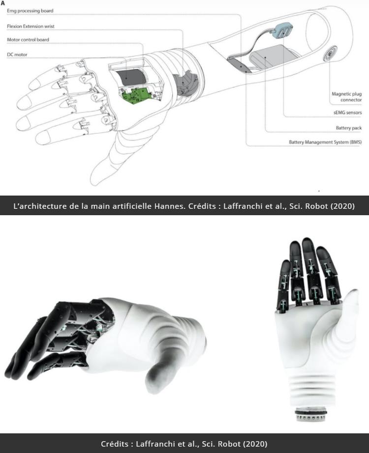 trustmyscience.com prothese-main-biomimetique-similaire-main-humaine.jpg