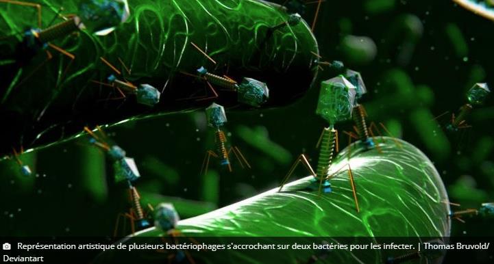 trustmyscience.com un-traitement-a-base-de-virus-tueurs-de-bacteries-a-sauve-la-vie-dune-adolescente.jpg