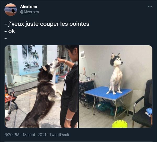 twitter.com Alextrem - j'veux juste couper les pointes.jpg