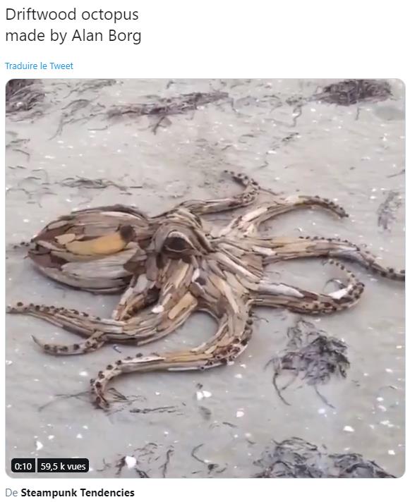 twitter.com Driftwood octopus made by Alan Borg.jpg