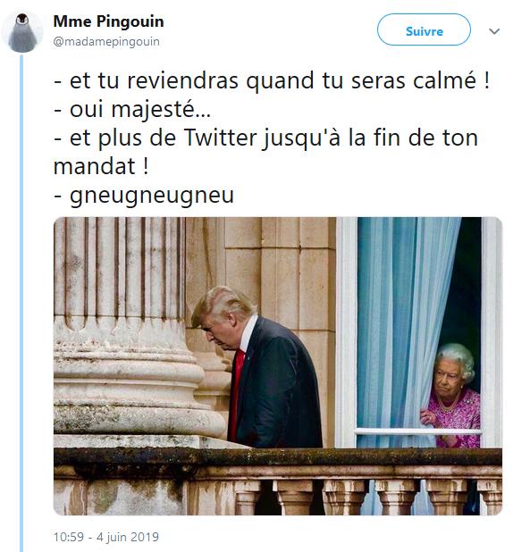 twitter.com madamepingouin@twitter - @realDonaldTrump faire Gneugneugneu.jpg