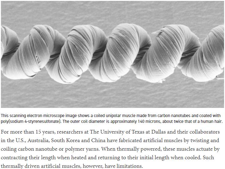 utdallas.edu science-technology unipolar-carbon-nanotube-muscles-2021.jpg