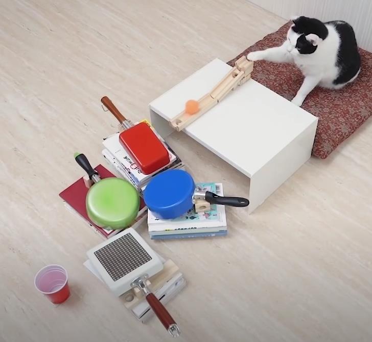 youtube.com Bureau Cat Navi - Chats et coups de ping-pong.jpg