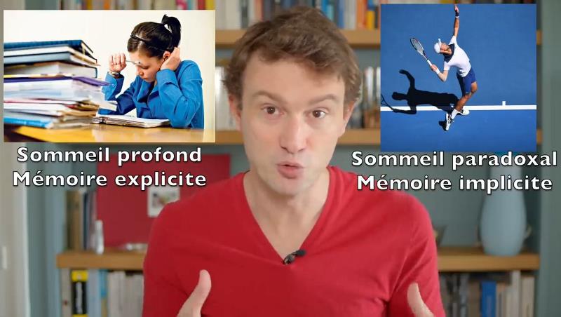 youtube.com ScienceEtonnante - Pourquoi dort-on - Le mystère scientifique du sommeil.jpg