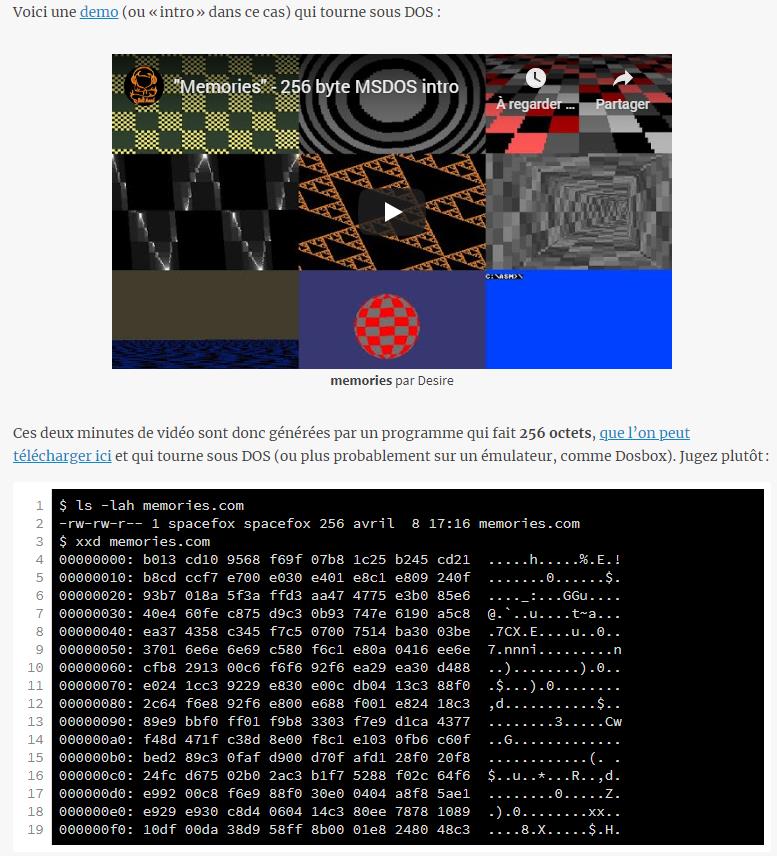 zestedesavoir.com une-demo-de-256-octets-et-son-code-explique.jpg